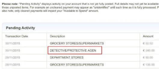 A copy of my online bill, showing an entry for "Detective/Protective Agency"